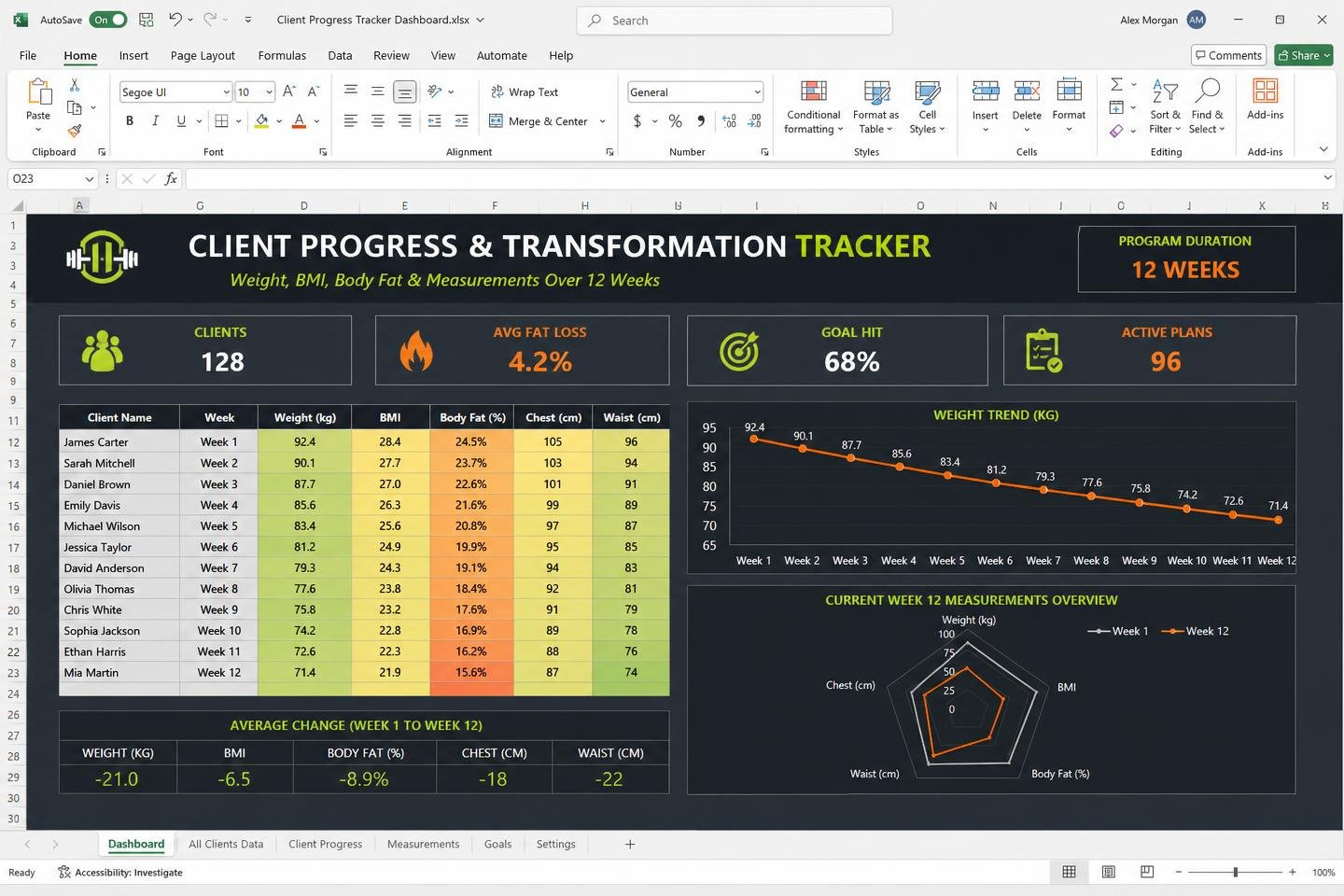 Progress & Transformation Tracker — spreadsheet dashboard preview
